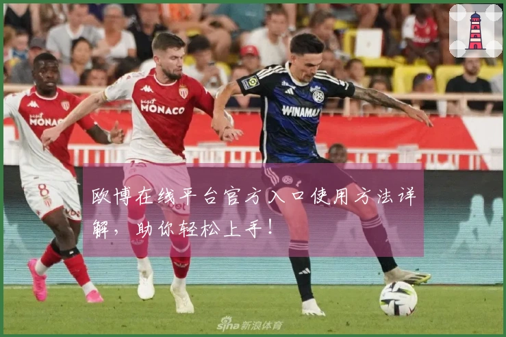 欧博在线平台官方入口使用方法详解，助你轻松上手！
