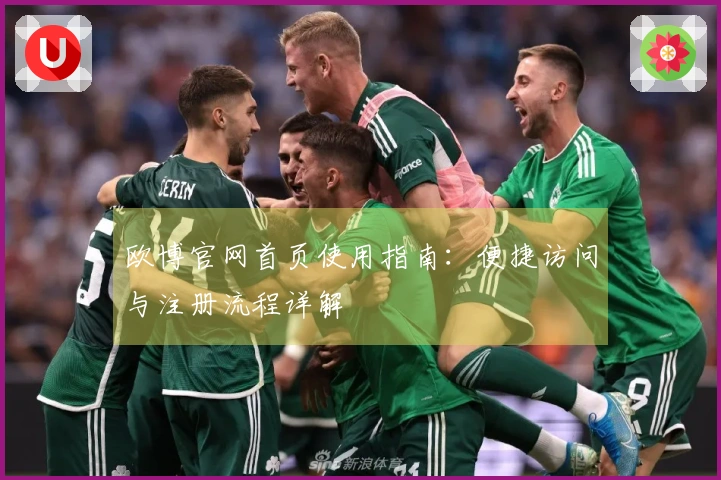 欧博官网首页使用指南：便捷访问与注册流程详解