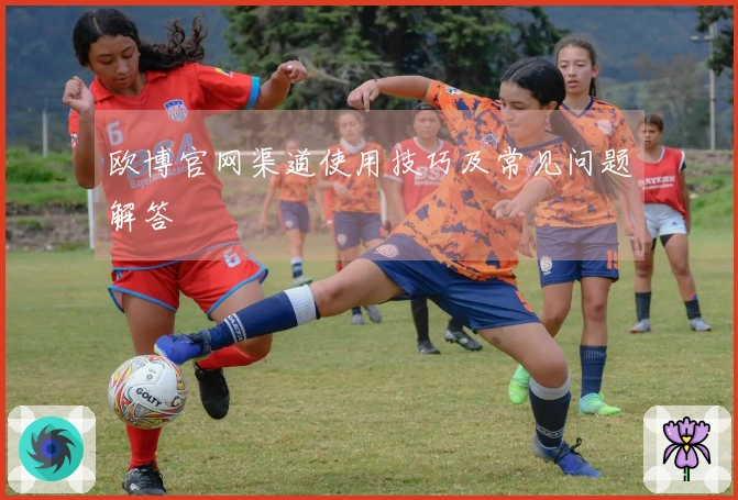 欧博官网渠道使用技巧及常见问题解答